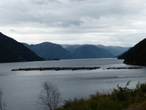 P1030064
