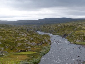 P1030181