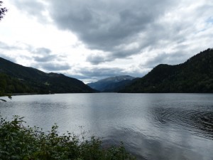 P1030210