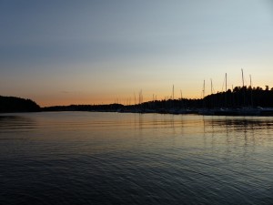 P1030319
