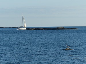 P1030369