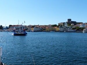 P1030425
