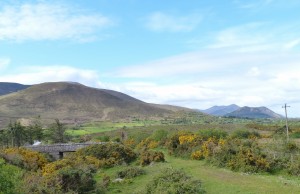 193-dingle bay (1280x826)