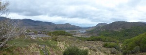 195-laddies view