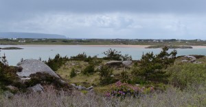 417-cote the rosses (1280x670)