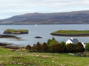 145-vers nest point (1280x960)