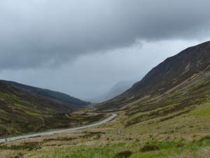 150-Glen Docherty (1280x960)