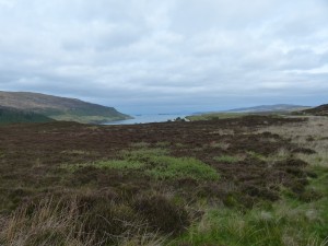 150-vers Ardmore (1280x960)