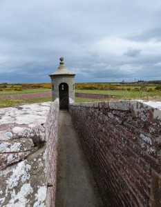 250-Fort George (994x1280)