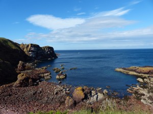 503-St Abbs (1280x960)