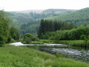 535-tweed valley (1280x960)