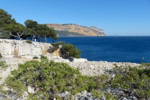 cassis2