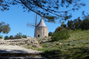 fontvieille