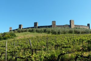 114-Monteriggioni (1) (1280x855)
