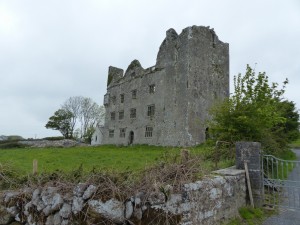 260-Leamaneh castle (1280x960)