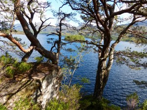 154-Loch Maree (1280x960)
