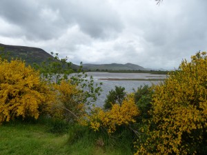 228-loch flint (1280x960) (2)