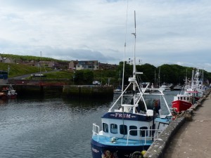 512-eyemouth (1280x960)